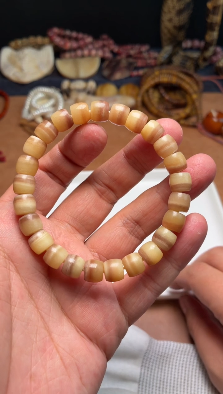 驼骨其他驼骨货头A56