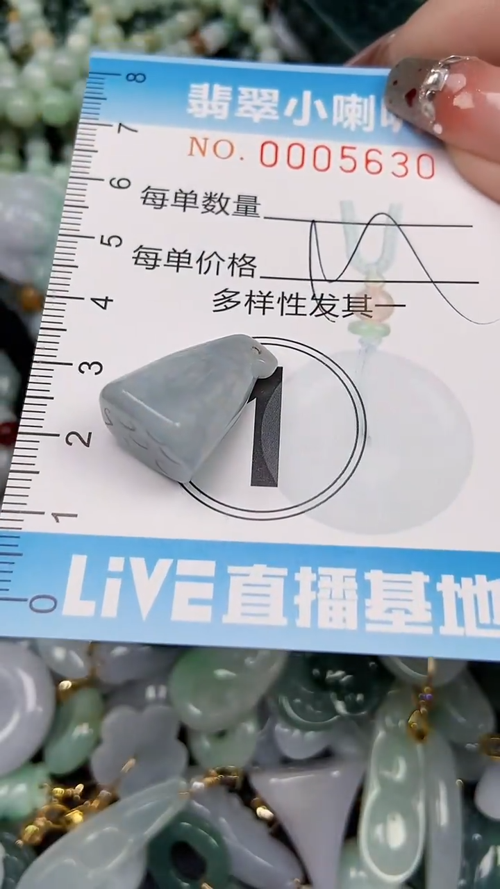 【闪购商品】翡翠颈饰未镶嵌闪购0005630多样性发其一