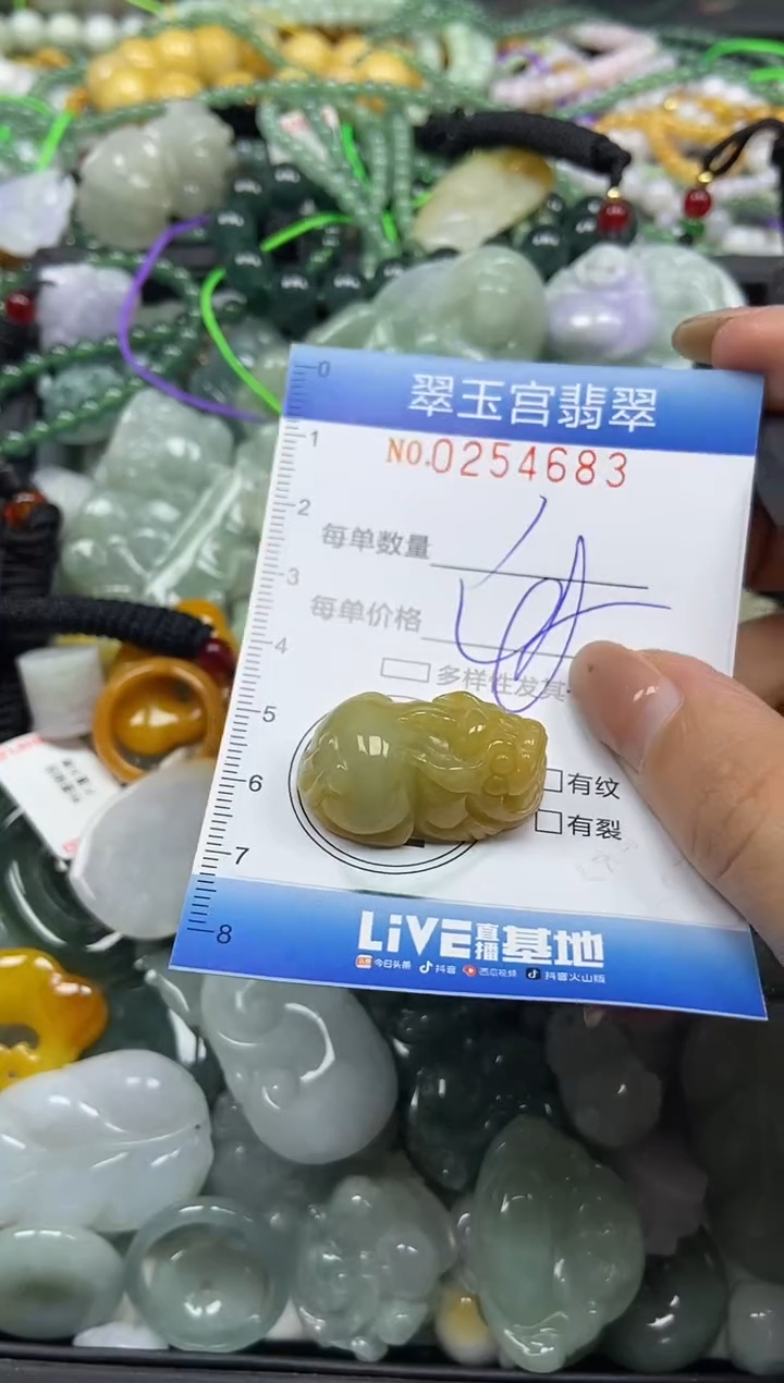 颈饰未镶嵌翡翠闪购C0254683