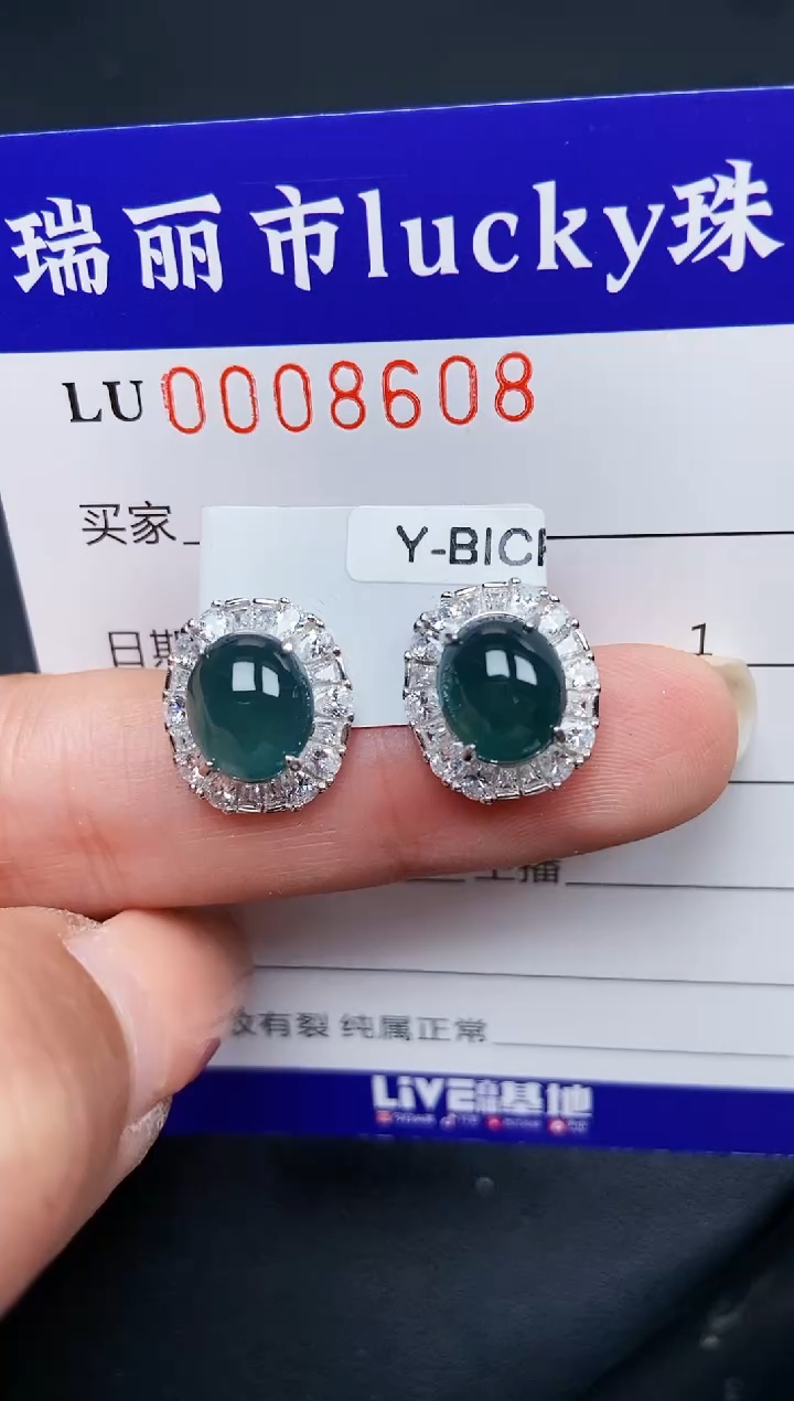 【闪购商品】翡翠颈饰银S925镶嵌8608