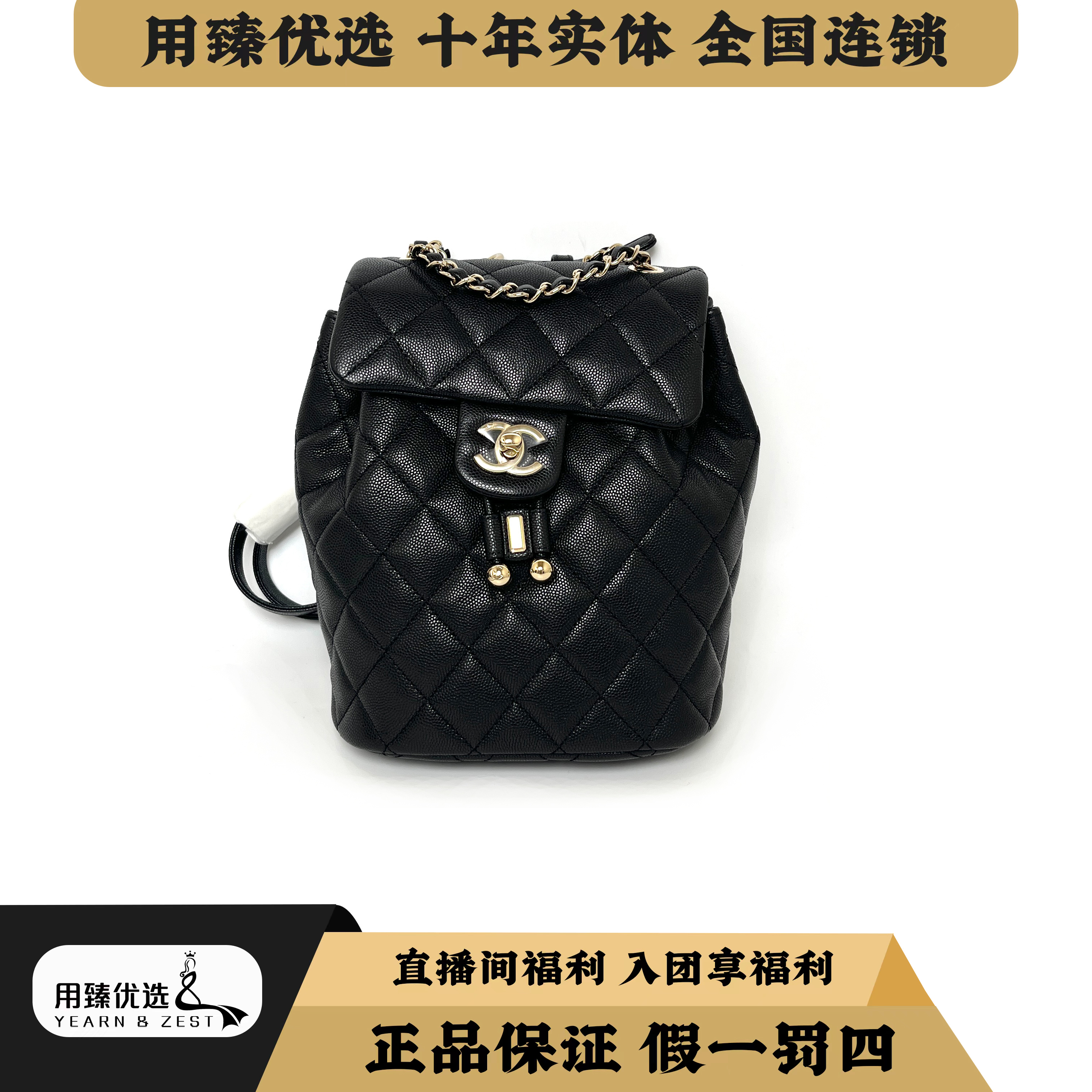 99新 Chanel/香奈儿 23S萨尔茨堡大号双肩包AL2608302