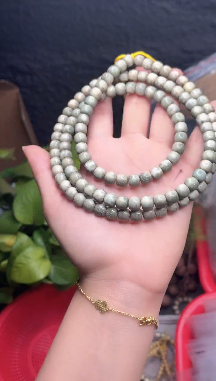 星月菩提手串海南星月菩提《Y66》8X7长串