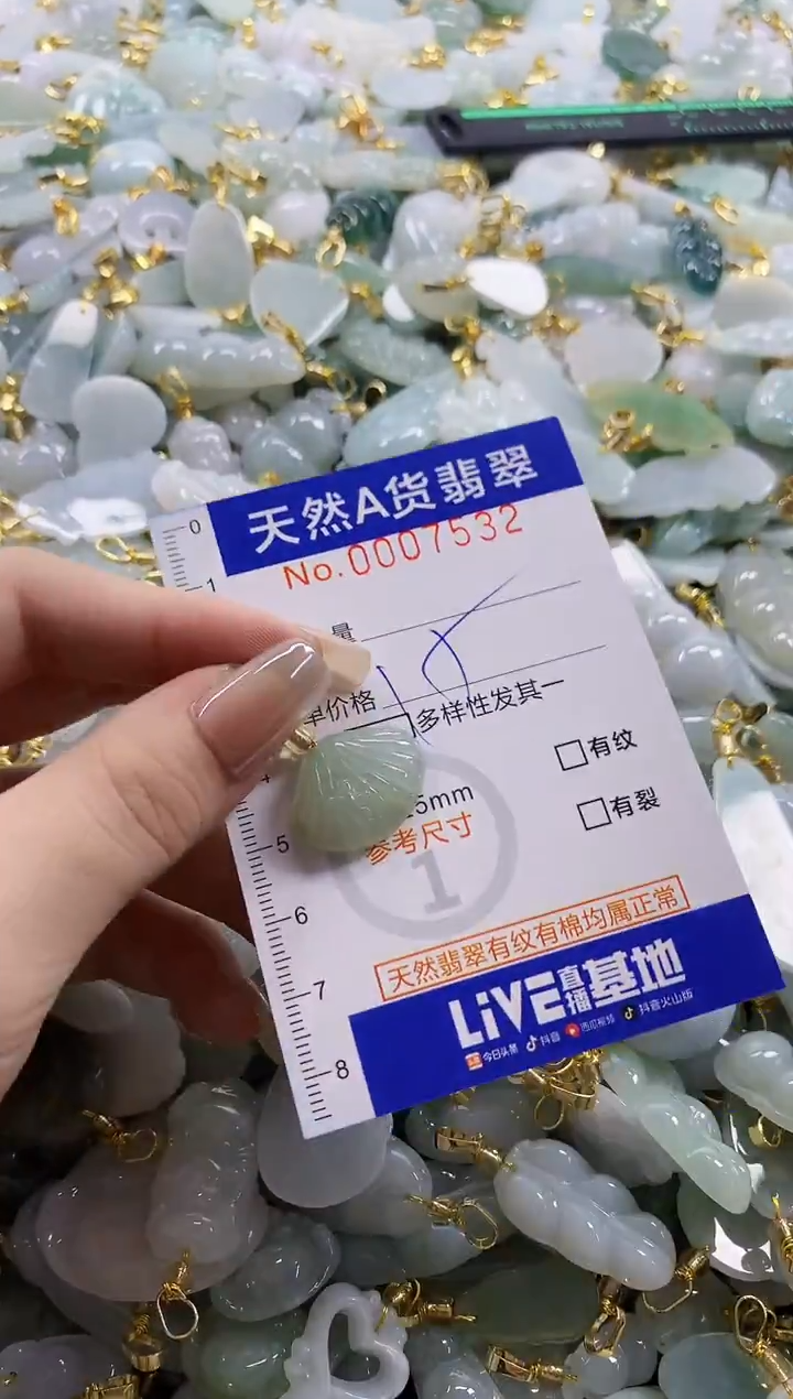 颈饰未镶嵌翡翠天然A货翡翠