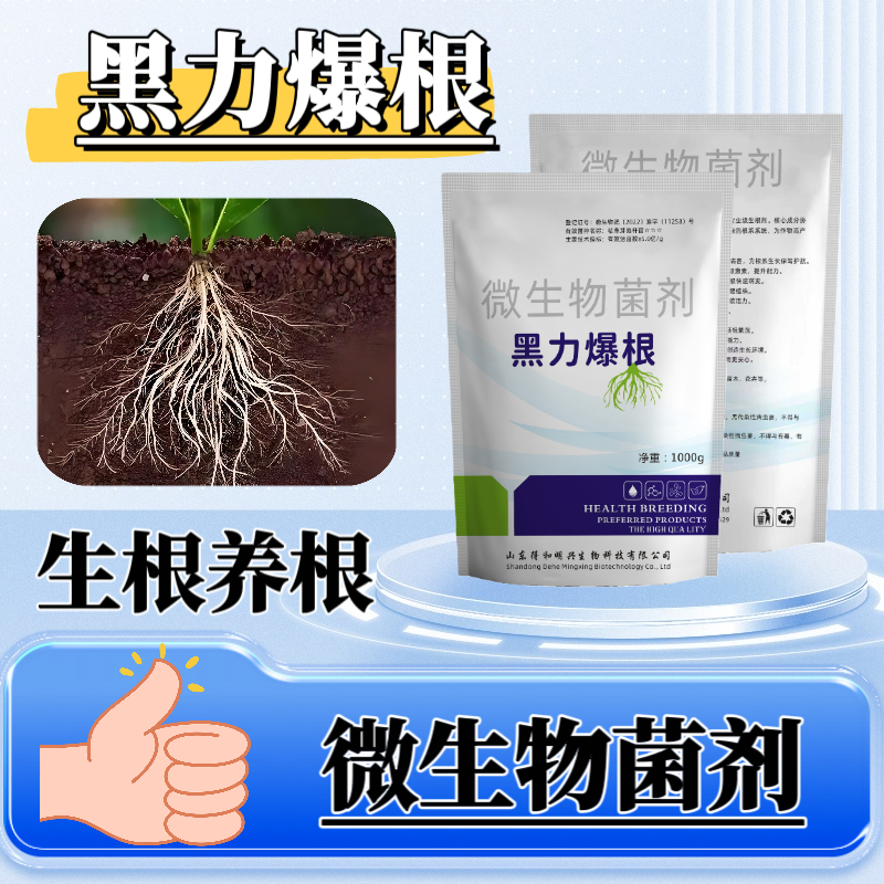 黑力爆根微生物菌剂，生根养根，抑制土传病害
