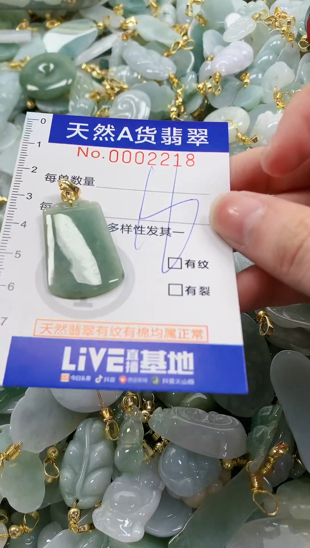 颈饰未镶嵌翡翠纯天然a货翡翠