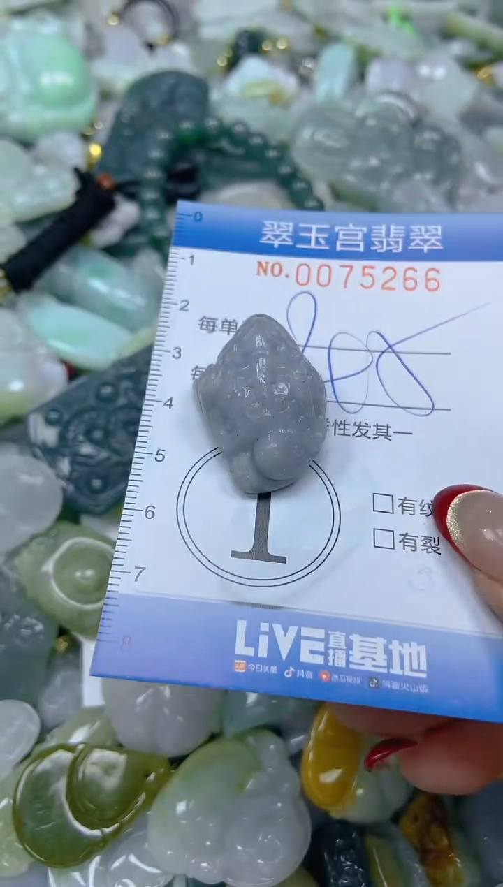 【闪购商品】翡翠颈饰未镶嵌闪购0075266