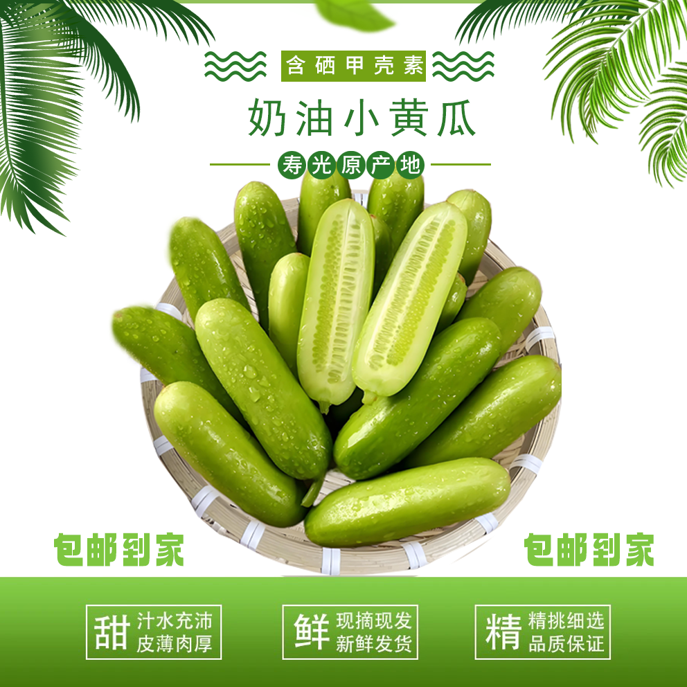 寿光含硒甲壳素奶油小黄瓜新鲜现摘顺丰包邮
