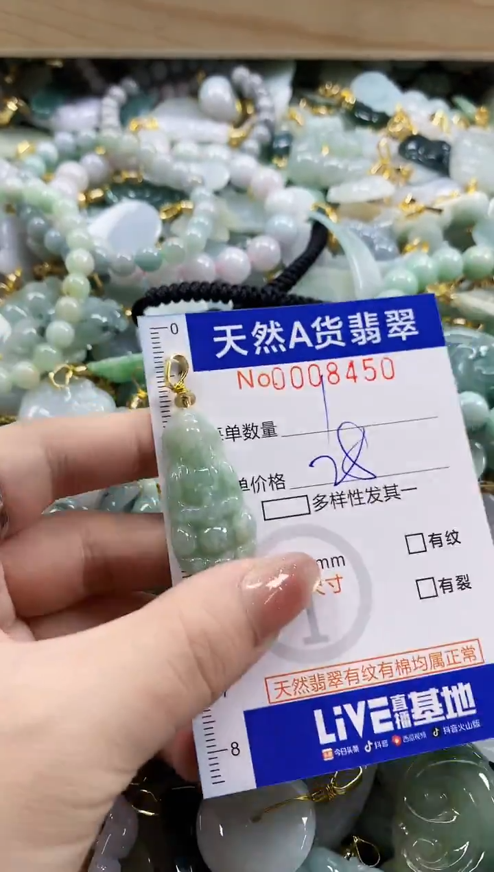 颈饰未镶嵌翡翠天然A货翡翠