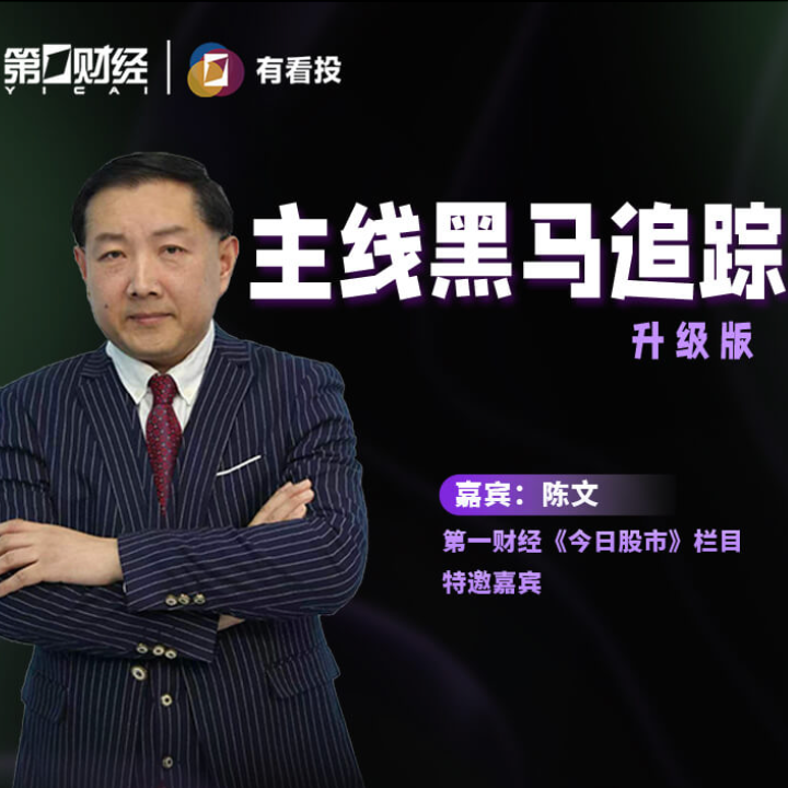 陈文订阅课程（单月）