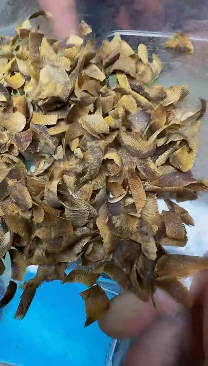 沉香碎屑沉香➕乌身切片5克 多样性发1