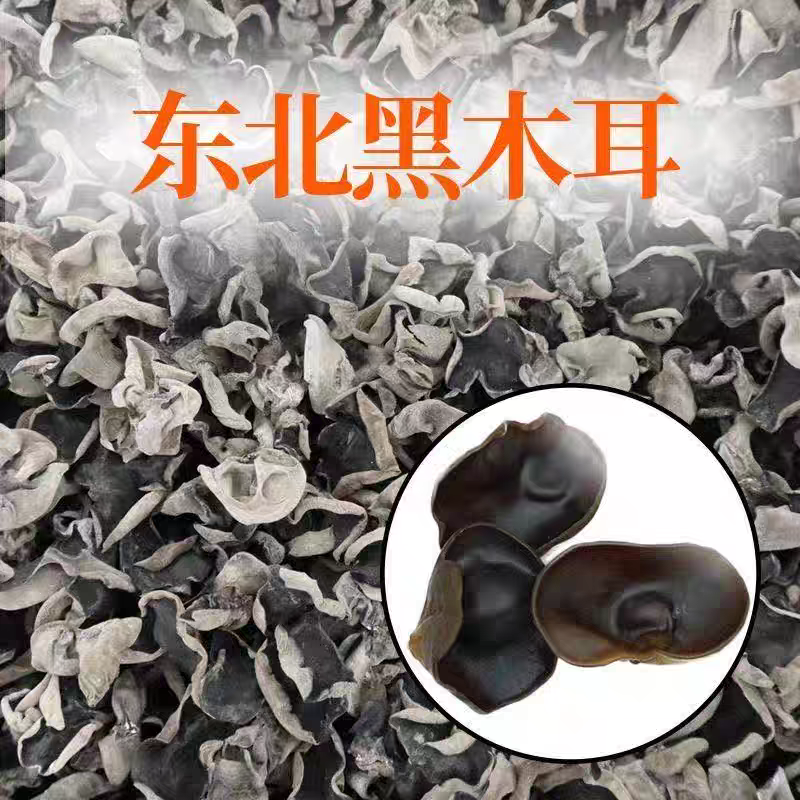 东北秋季木耳秋木耳 肉厚紧实 干净无沙