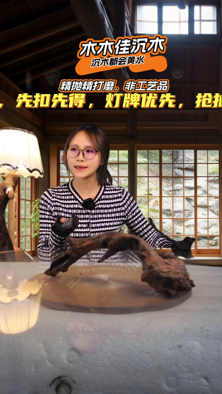 L*Y木木佳沉木鱼缸造景-861