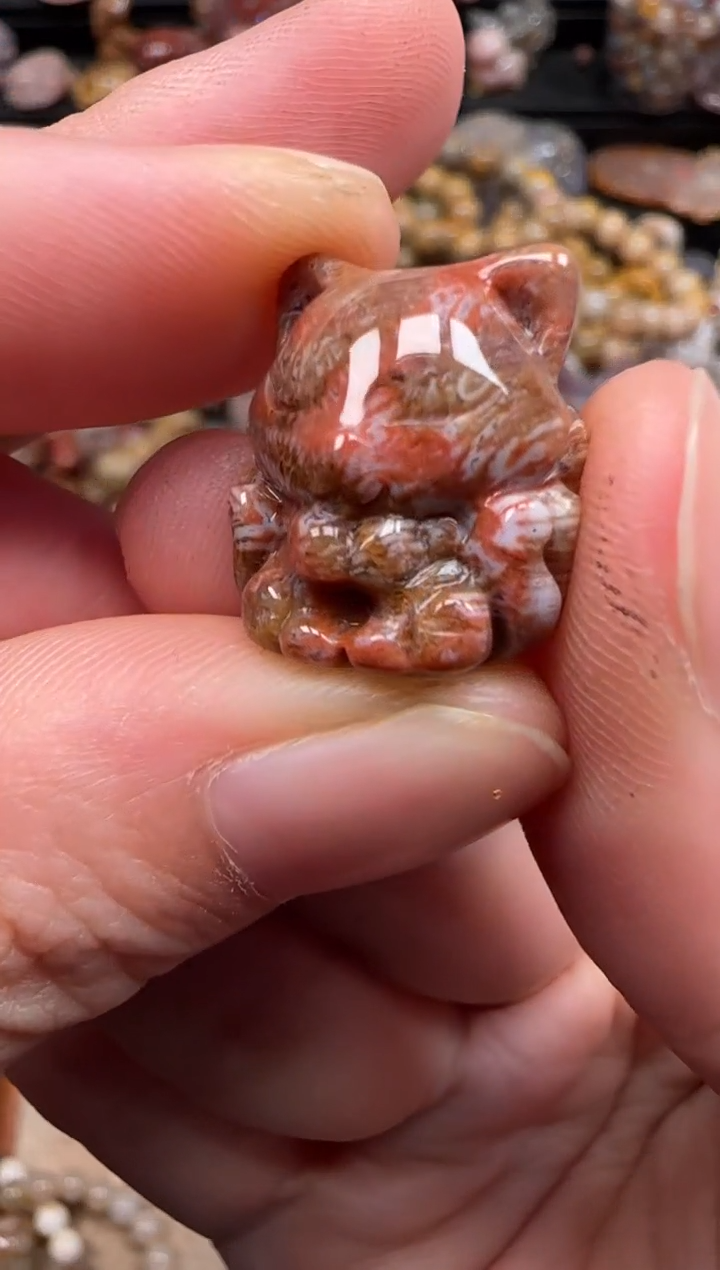 硅化珊瑚（珊瑚玉）未镶嵌颈饰526