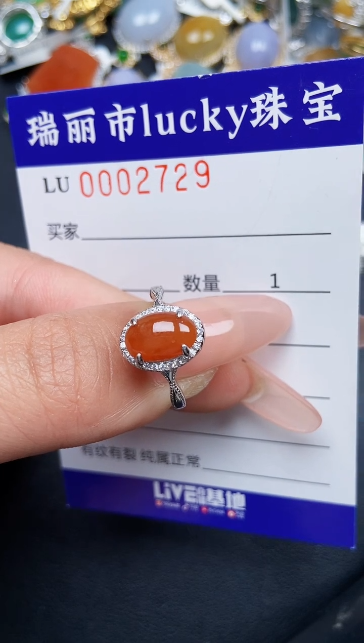 【闪购商品】翡翠颈饰银S925镶嵌2729