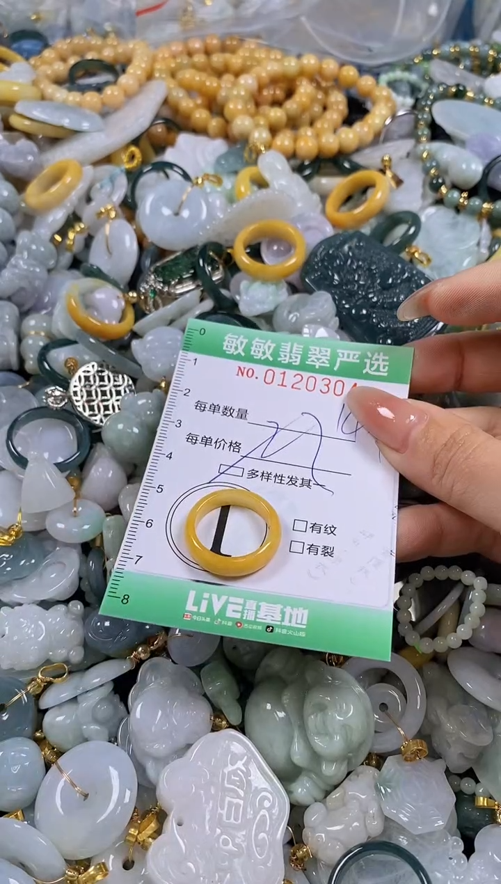 【闪购商品】翡翠颈饰未镶嵌闪购0120304多样性发其一
