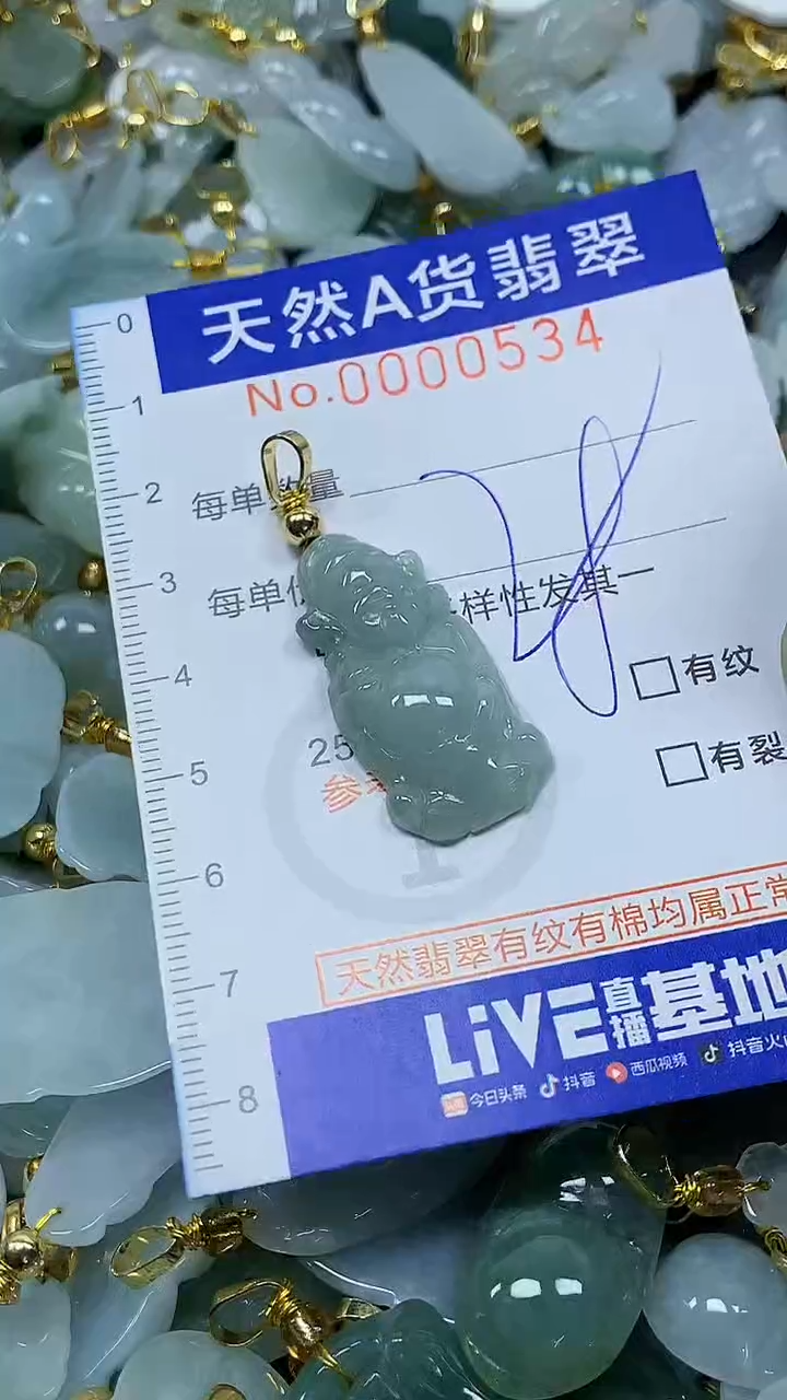 颈饰未镶嵌翡翠纯天然a货翡翠