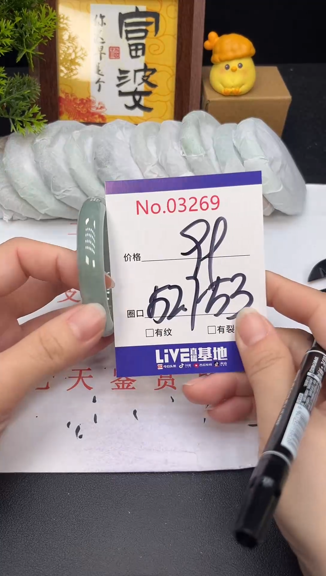 未镶嵌手镯翡翠3269