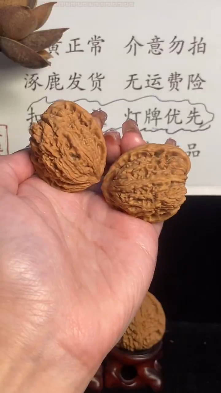 木质泥*了涿鹿核韵南将石天残翅膀