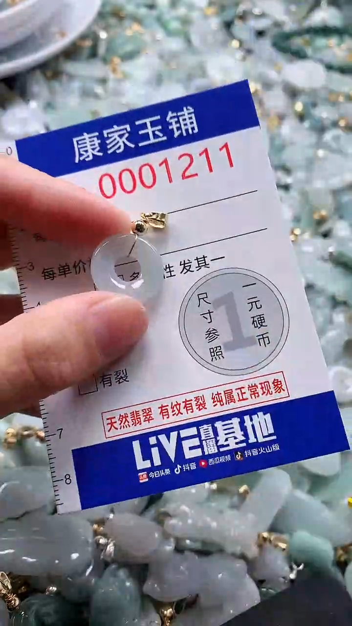 翡翠未镶嵌吊坠(不含链)1211