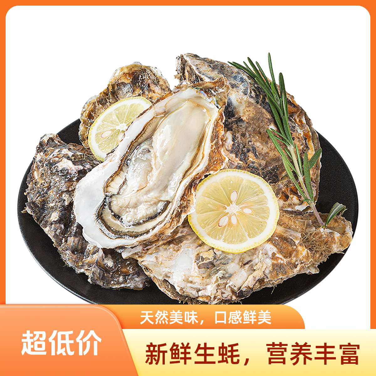 鲜活乳山生蚝 多规格