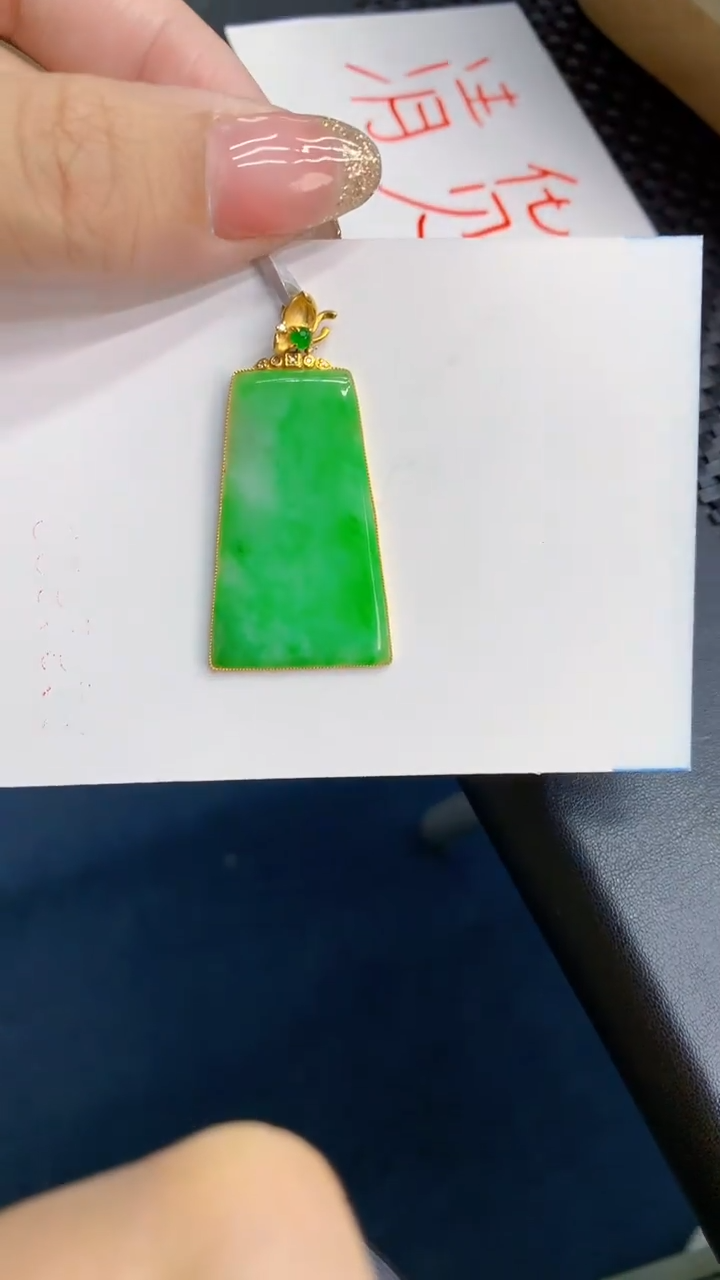 【闪购商品】翡翠18K金镶嵌颈饰            8