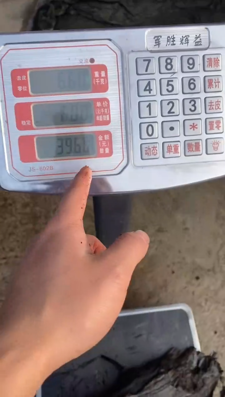 锦***呵金丝楠木原料木材