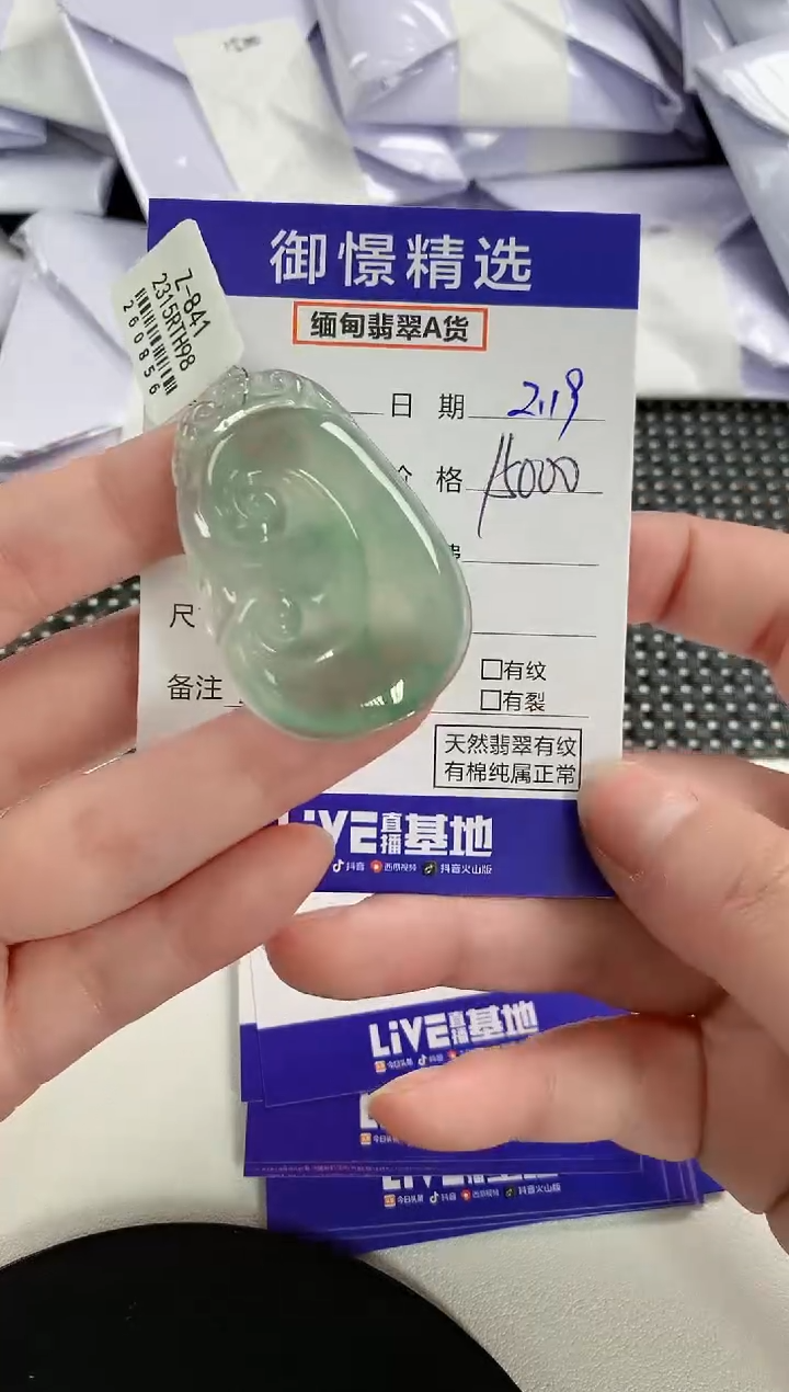 【闪购商品】翡翠颈饰未镶嵌78        