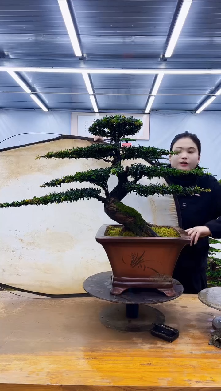 无花朵一物一拍，所见即所得