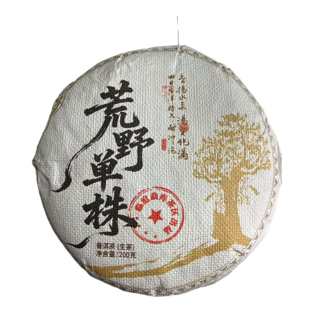 2025年头春章外荒野单株普洱生茶饼100克12月25日（小号）-【14号品】