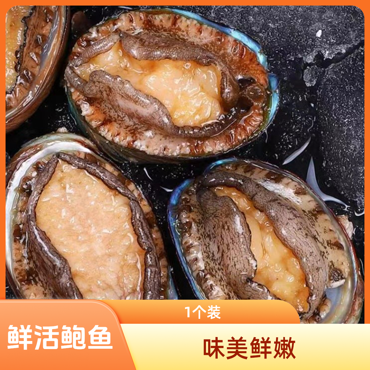 鲜活鲍鱼/1个装