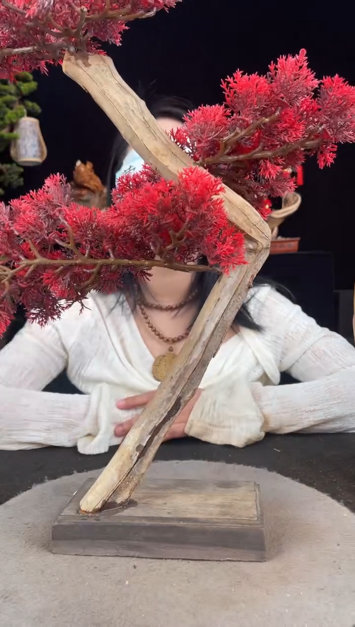 【闪购商品】柏木（崖柏）其他手工摆件,先抢先得!