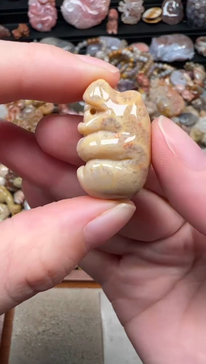 颈饰未镶嵌硅化珊瑚（珊瑚玉）018