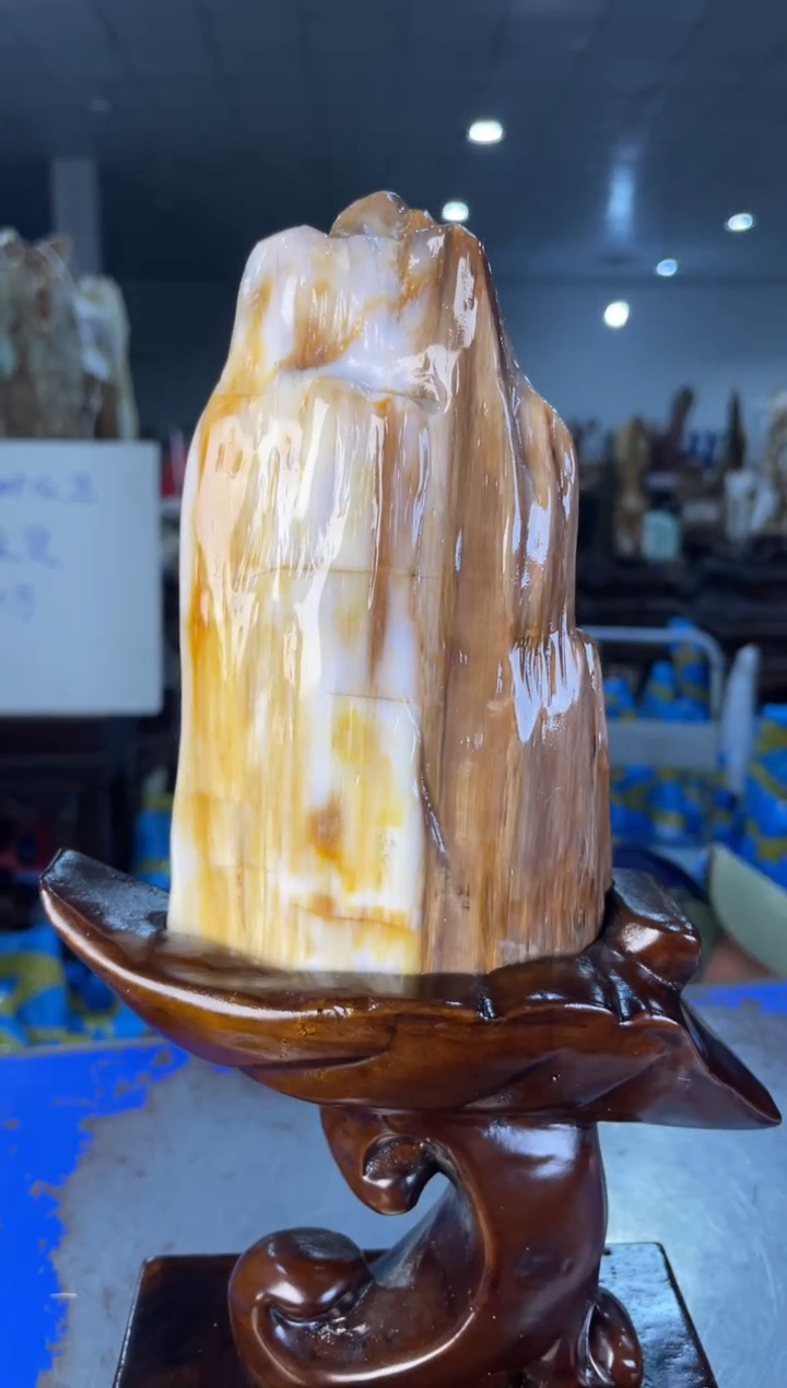 未镶嵌摆件硅化玉23