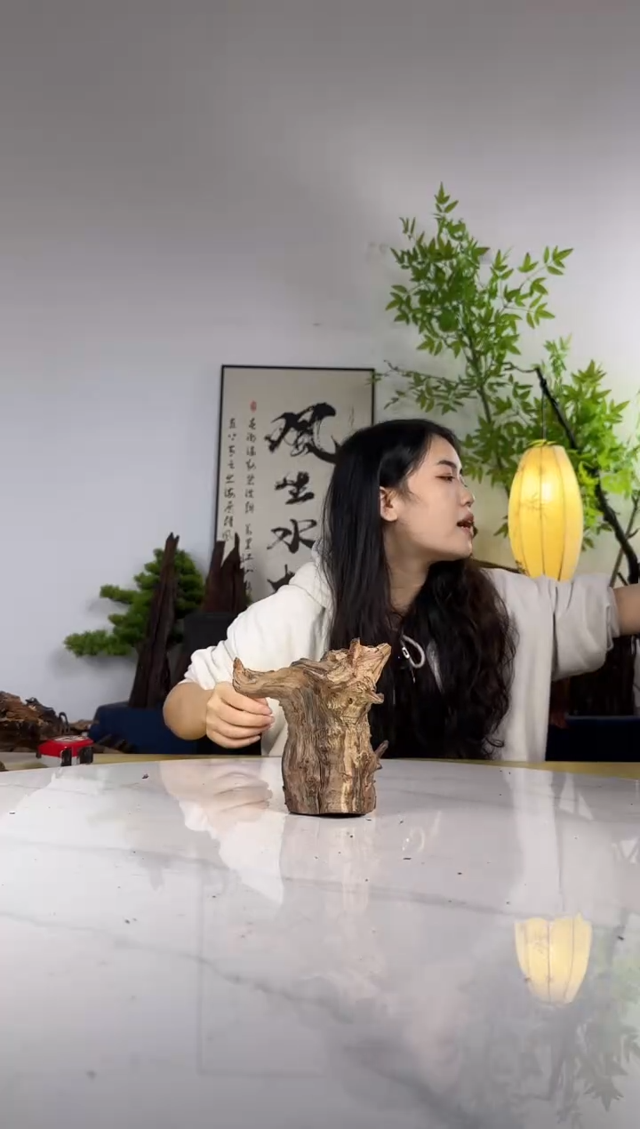 那****圆拍这个定向编号111