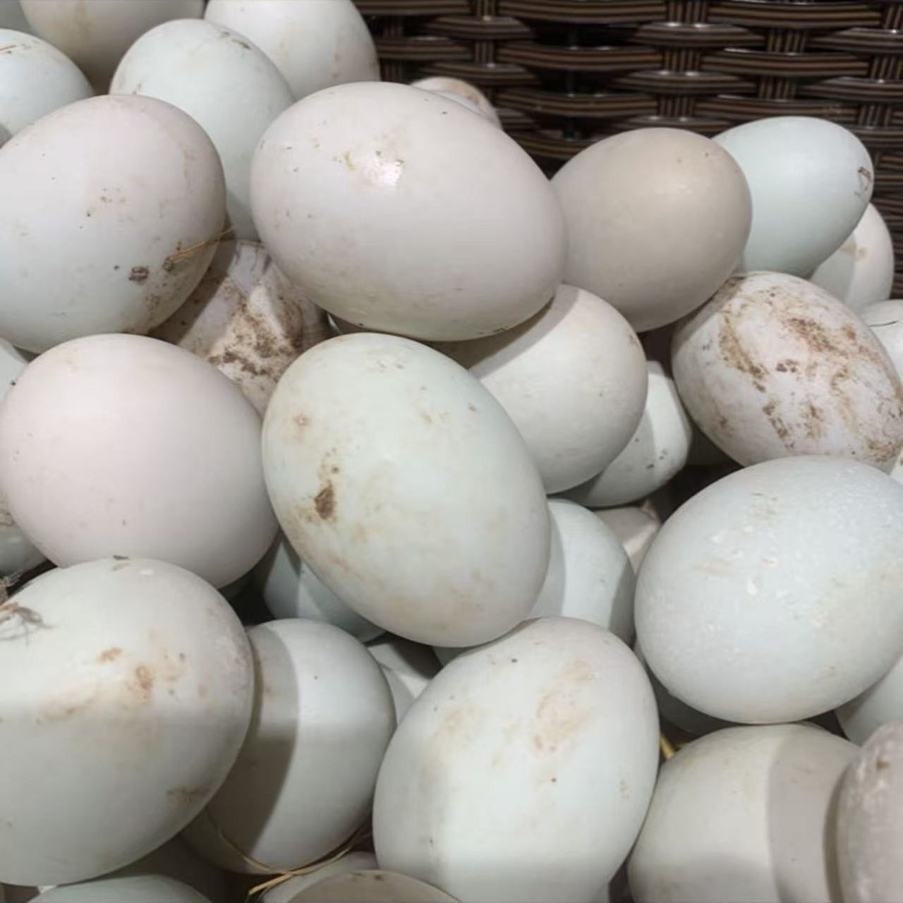 农家散养鸭蛋30枚