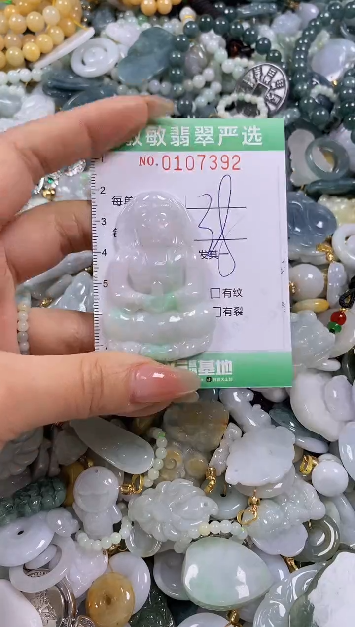 【闪购商品】翡翠颈饰未镶嵌闪购0107392