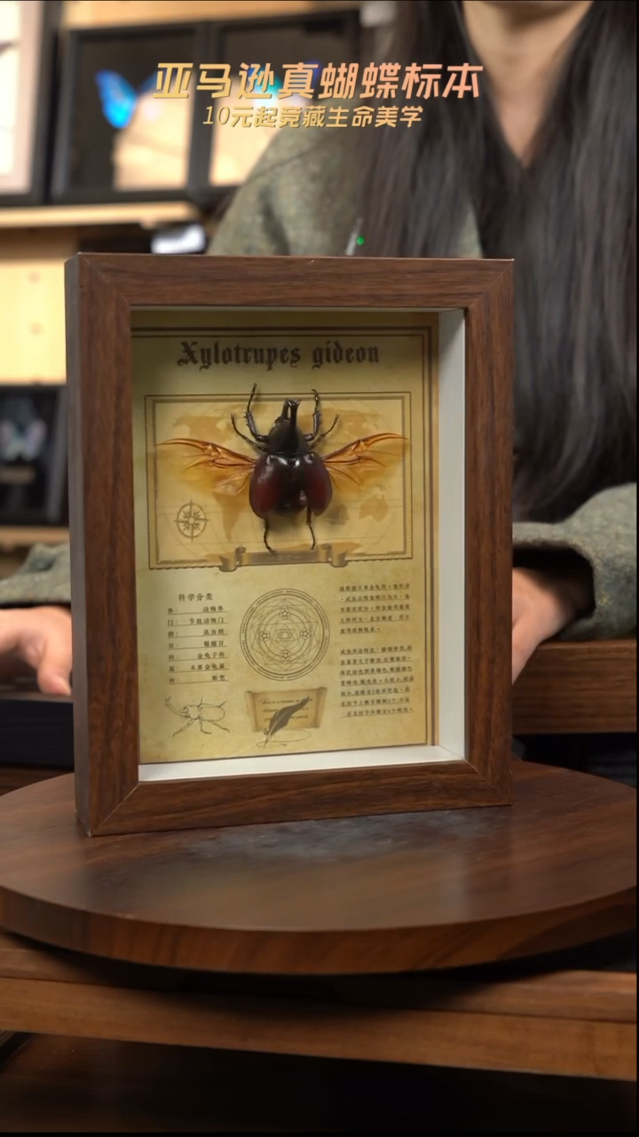 机兜展翅款8寸复古框