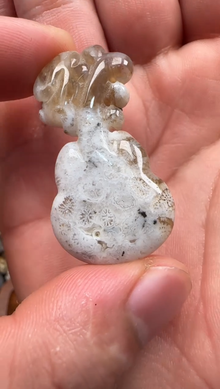 【闪购商品】硅化珊瑚（珊瑚玉）颈饰未镶嵌670