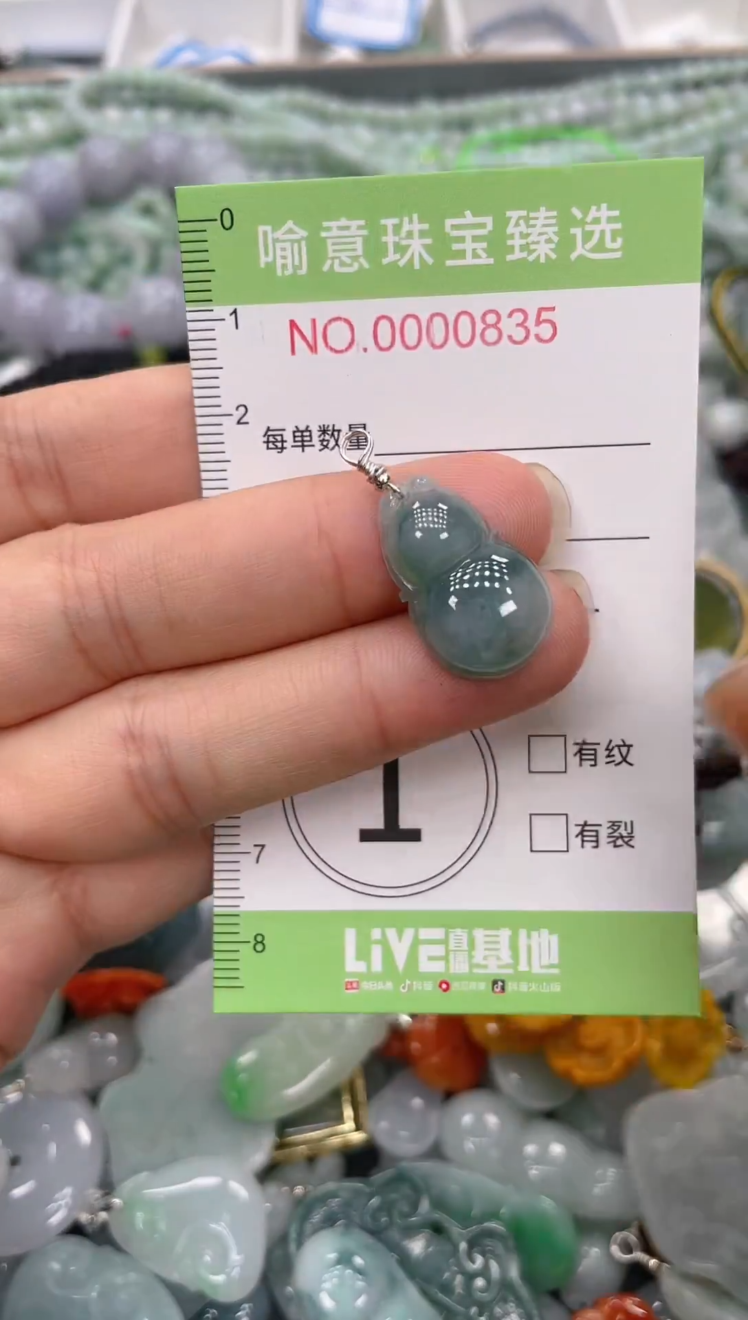 颈饰未镶嵌翡翠008