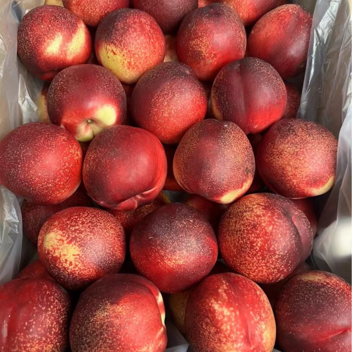 陈嬢嬢 智利进口油桃 脆甜爽口 3/5斤新鲜当季 只发川渝