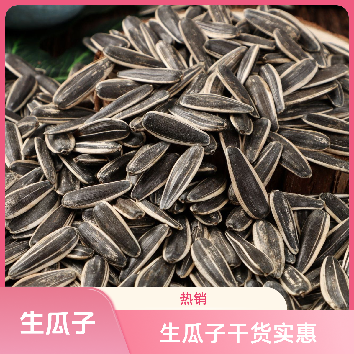 【买一斤送一斤】到手两斤生瓜子干货花皮葵花籽生瓜子