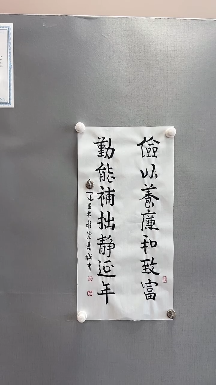 【闪购商品】书法雅艺典藏文化书法