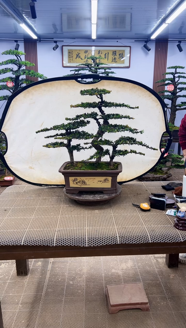 【闪购商品】0000000