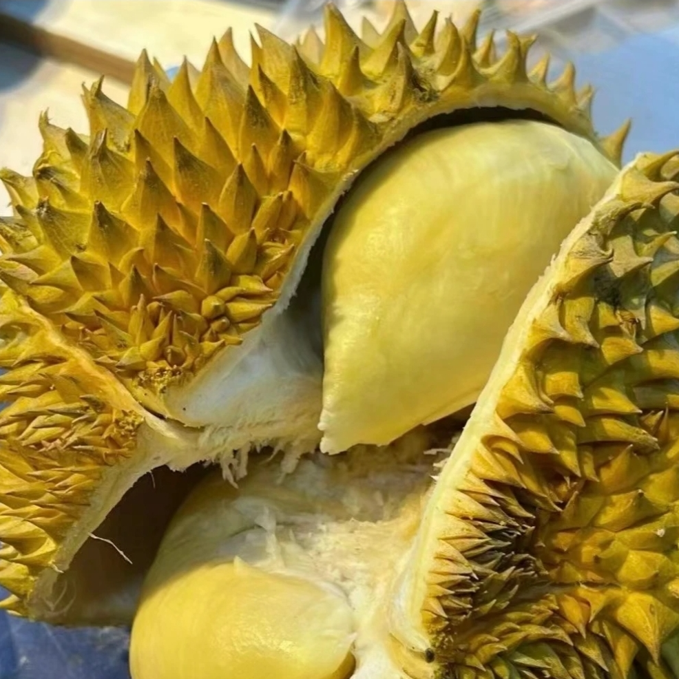 泰国老树金枕鲜榴莲（核小）一物一拍3斤-10斤同城配送金枕泰国