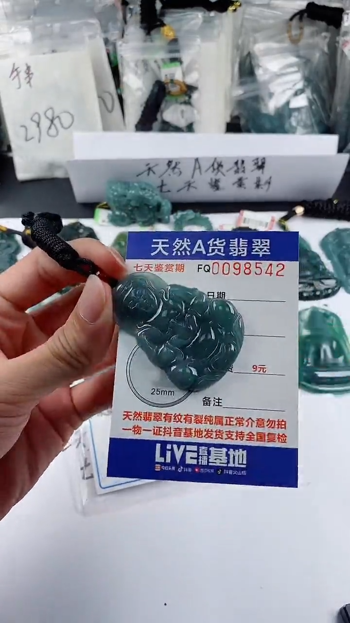 【闪购商品】翡翠颈饰未镶嵌        