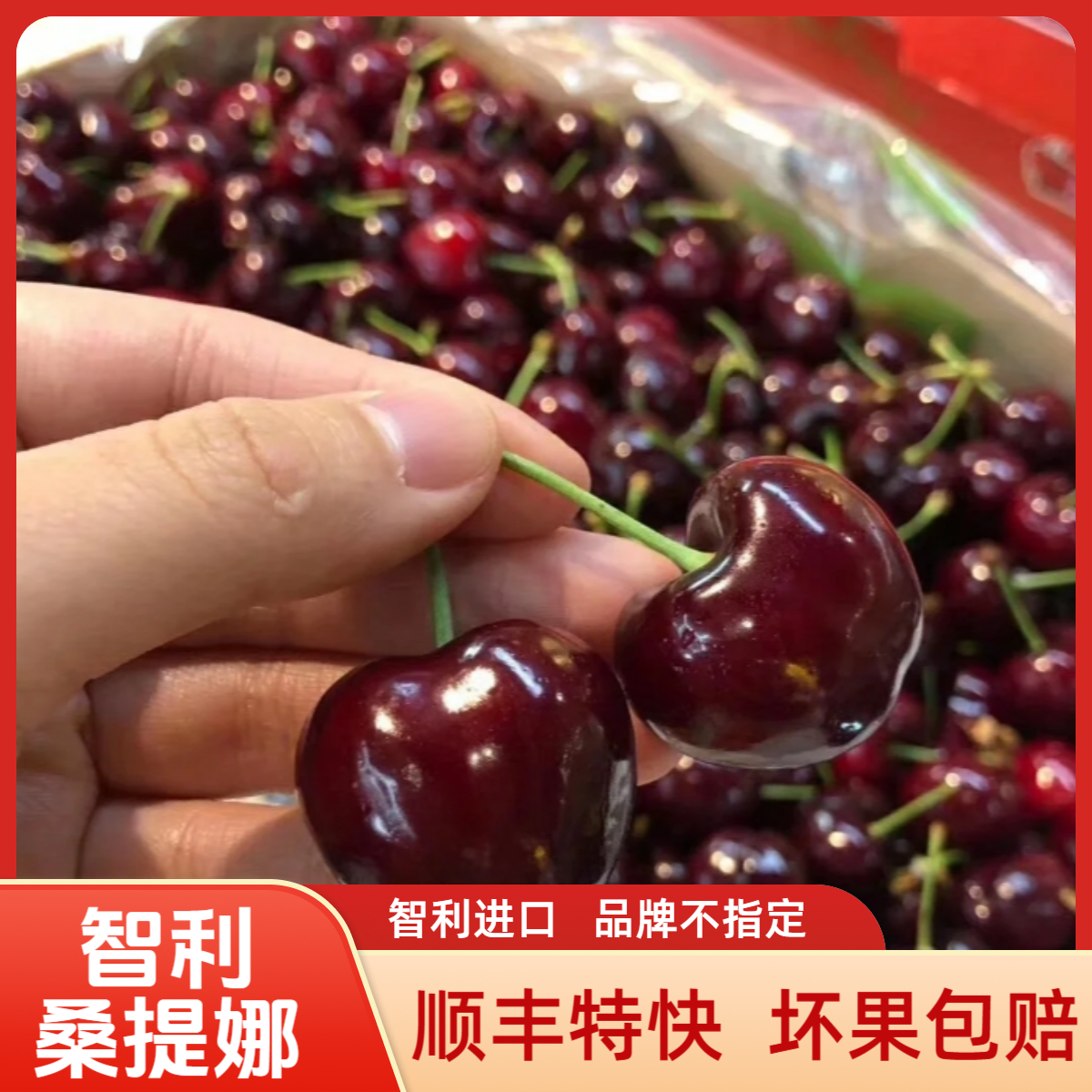 【空运Santina】桑提娜智利进口车厘子单JD 2JD 3JD 4JD樱桃5斤内附果径卡顺丰 京东桑提娜樱桃智利共和国
