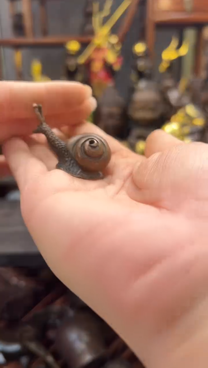 闪购链接闪购链接