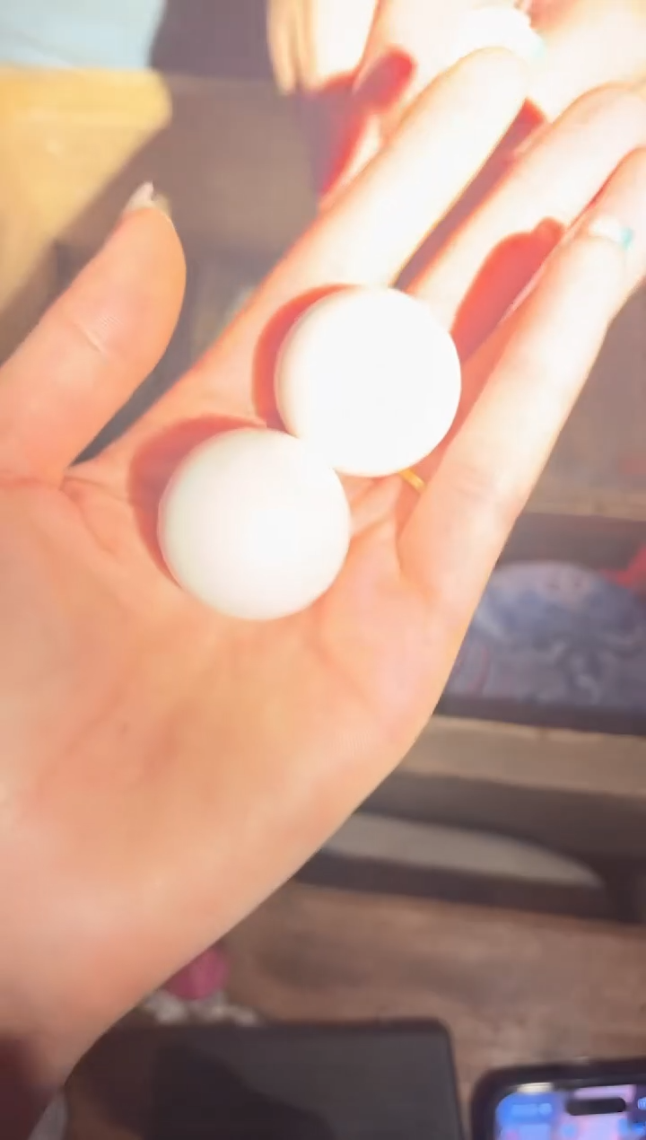 【闪购商品】【闪购商品】白色球一个