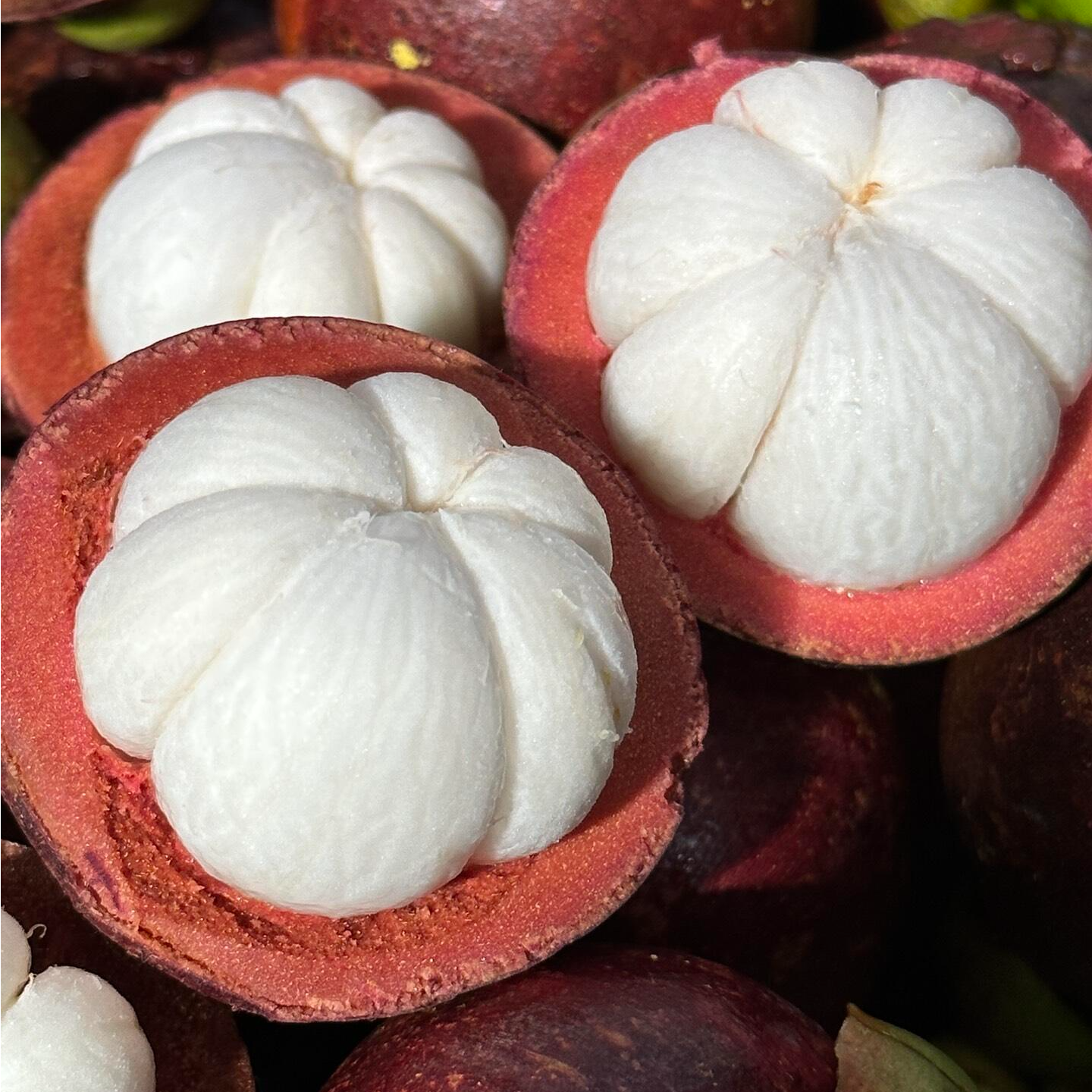 李先生源选 泰国进口老树油竹当季新鲜+5A大果500g-1500g