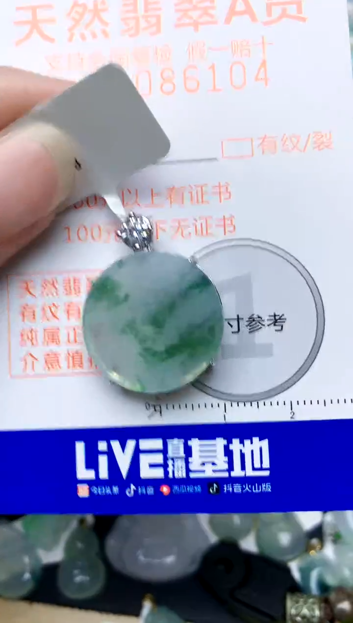 颈饰银S925镶嵌翡翠天然A货翡翠